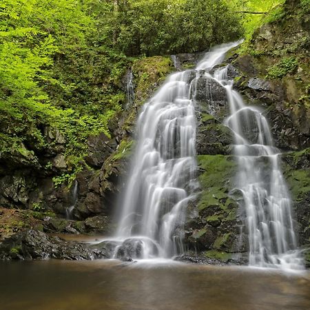 Four Bears Den, Hot Tub, 1089 Of Free Attraction Tickets For Each Paid Day, Dollywood And More Gatlinburg Esterno foto