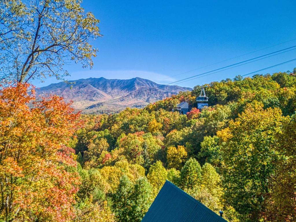 Four Bears Den, Hot Tub, 1089 Of Free Attraction Tickets For Each Paid Day, Dollywood And More Gatlinburg Esterno foto