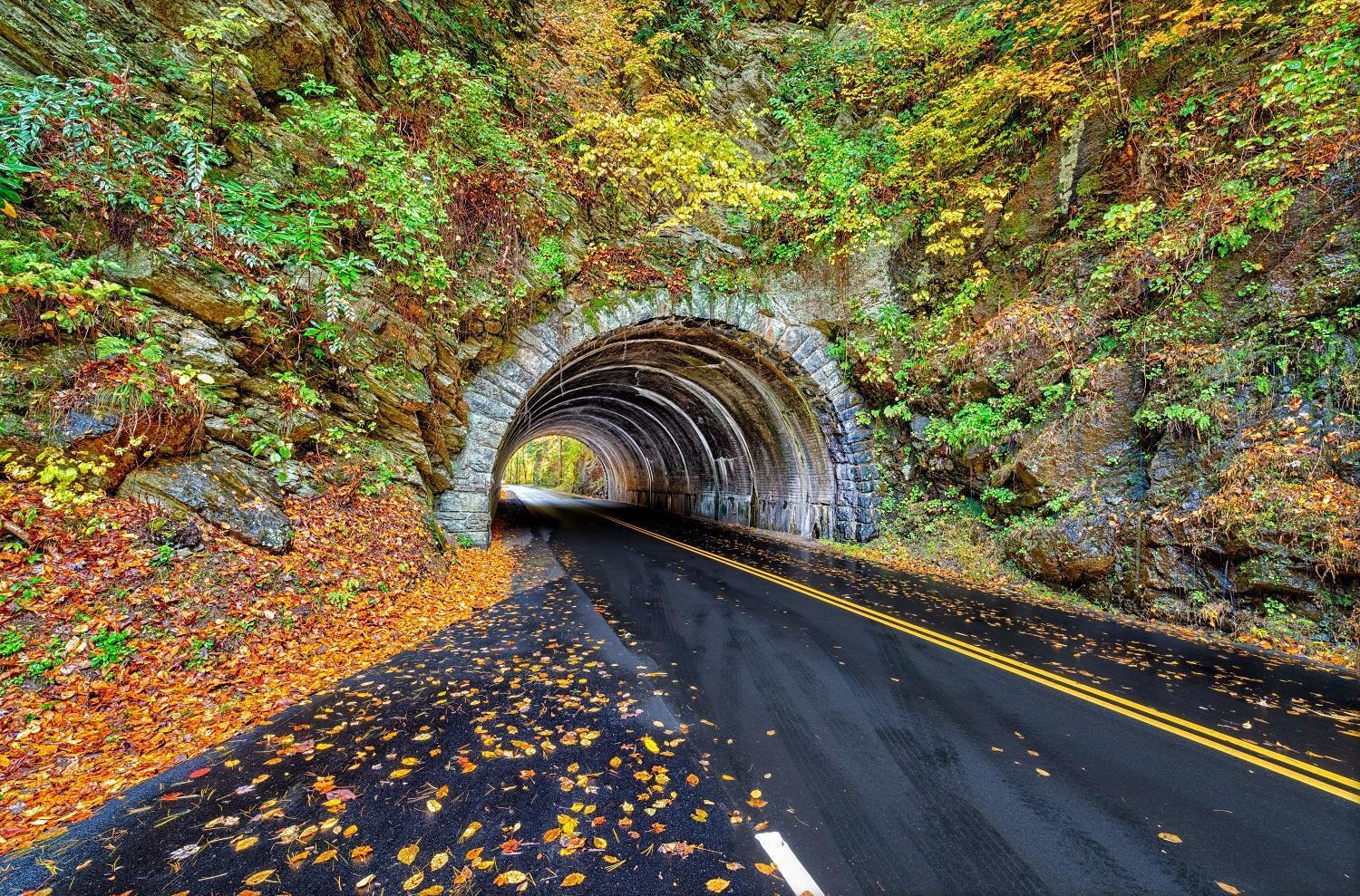 Four Bears Den, Hot Tub, 1089 Of Free Attraction Tickets For Each Paid Day, Dollywood And More Gatlinburg Esterno foto