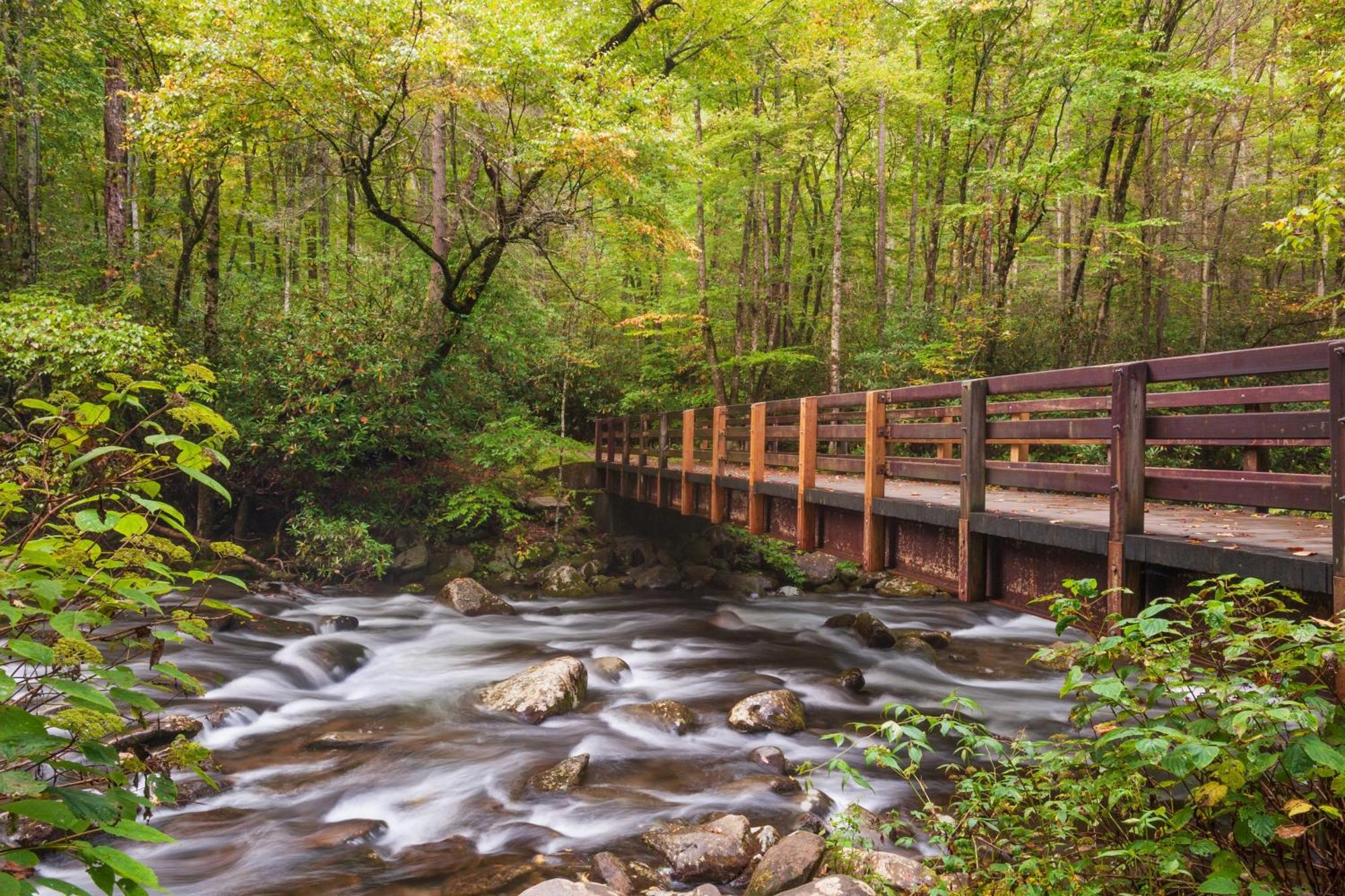 Four Bears Den, Hot Tub, 1089 Of Free Attraction Tickets For Each Paid Day, Dollywood And More Gatlinburg Esterno foto