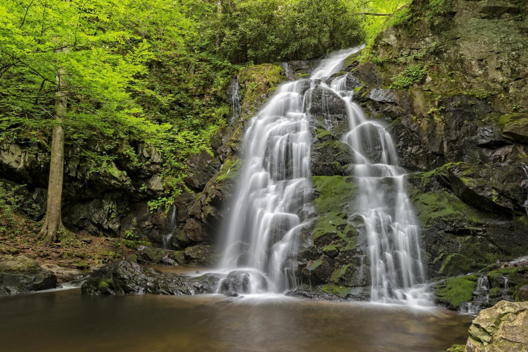 Four Bears Den, Hot Tub, 1089 Of Free Attraction Tickets For Each Paid Day, Dollywood And More Gatlinburg Esterno foto
