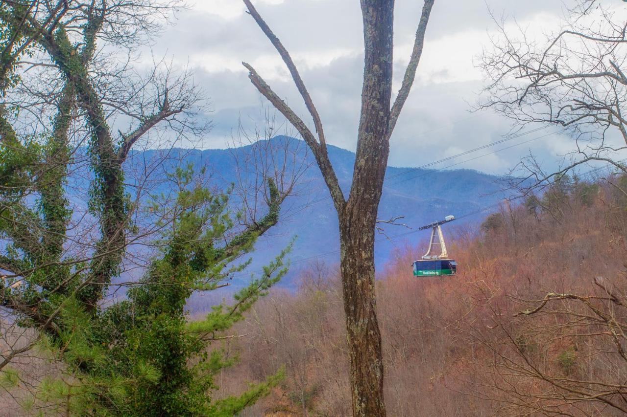 Four Bears Den, Hot Tub, 1089 Of Free Attraction Tickets For Each Paid Day, Dollywood And More Gatlinburg Esterno foto